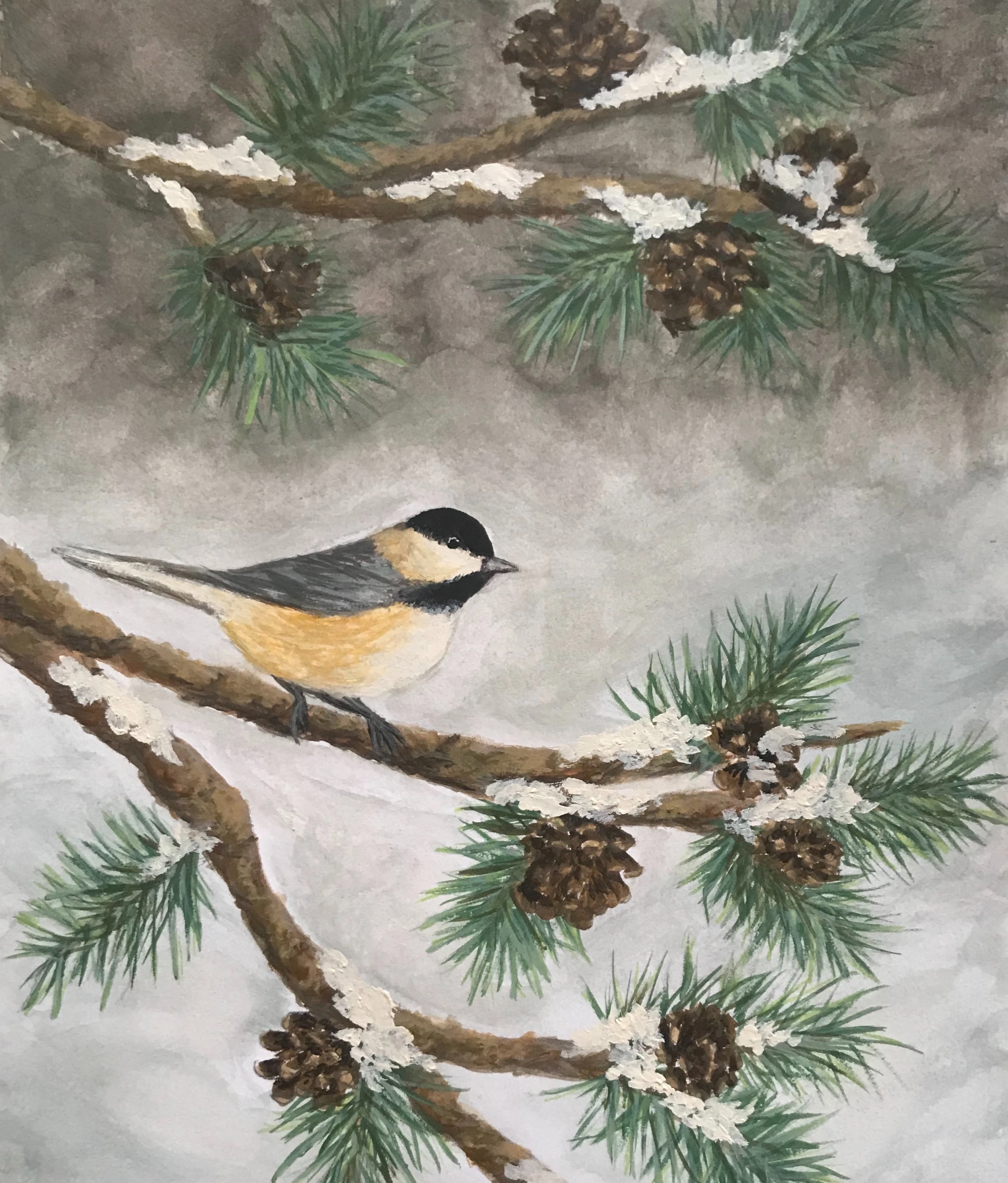 Black Capped Chickadee